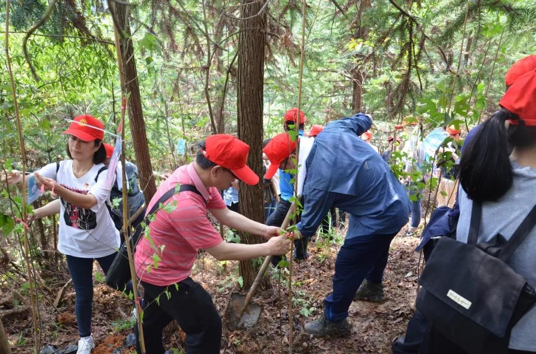 大宝娱乐-LG游戏|PT游戏|CQ9游戏