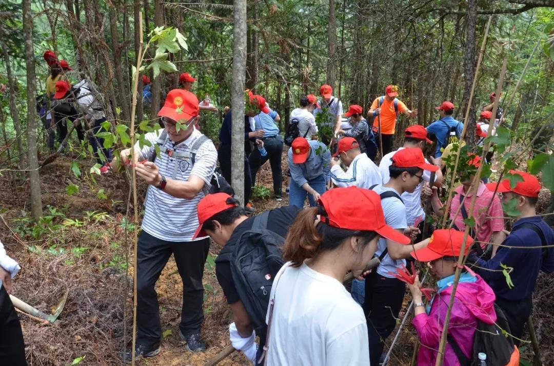 大宝娱乐-LG游戏|PT游戏|CQ9游戏