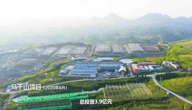 大宝娱乐-LG游戏|PT游戏|CQ9游戏